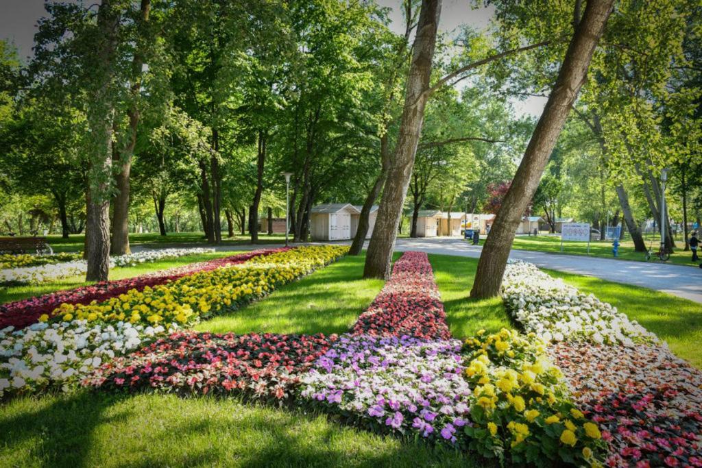 Lola Suite Zagreb Dış mekan fotoğraf