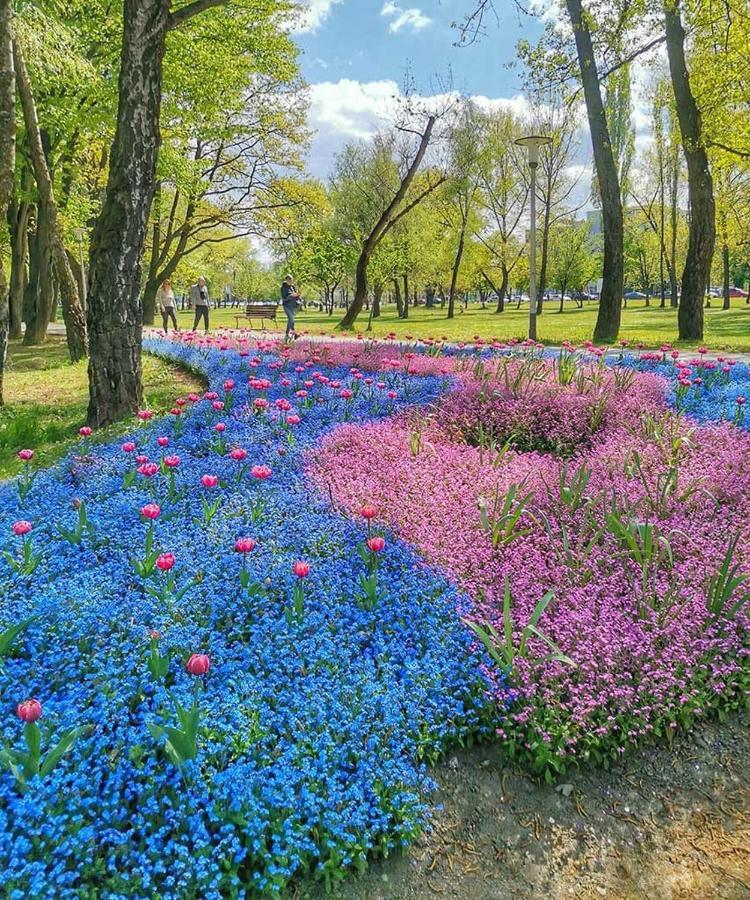 Lola Suite Zagreb Dış mekan fotoğraf